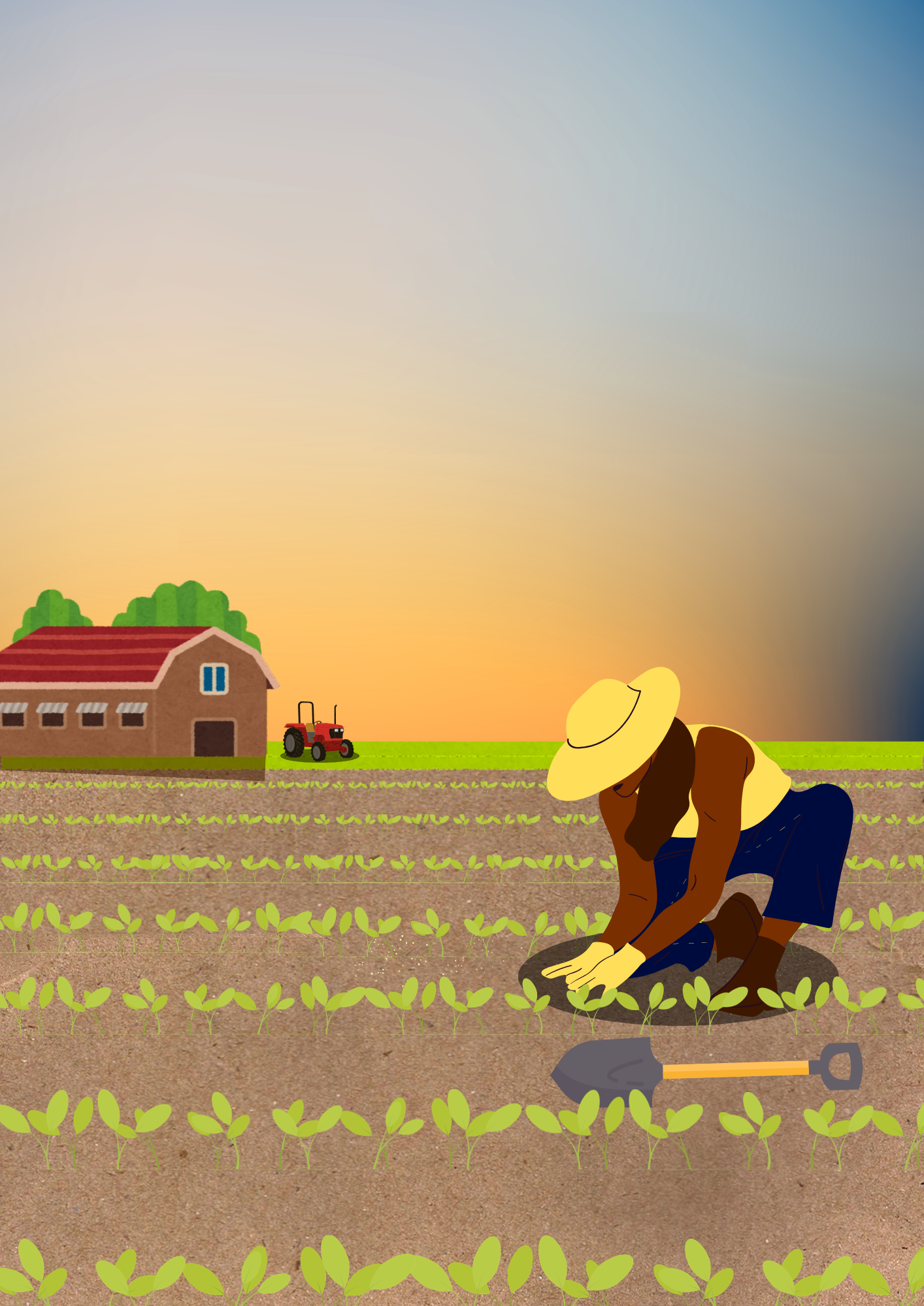 Woman Checking Crops In A Field